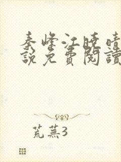 秦峰江晓晴的小说免费阅读