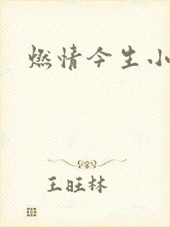 燃情今生小说