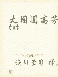 大团圆高芳小说txt