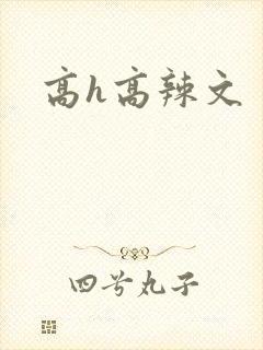 高h高辣文