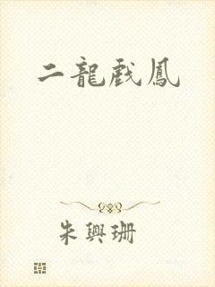 二龙戏凤