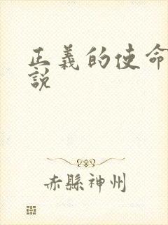 正义的使命 小说