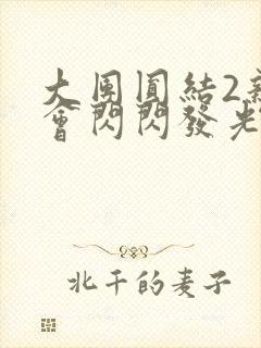 大团圆结2亲情会闪闪发光亲情会