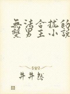 无法合拢的总裁双男主小说