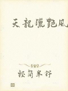 天龙猎艳风流