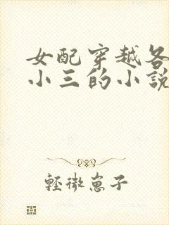 女配穿越各个做小三的小说