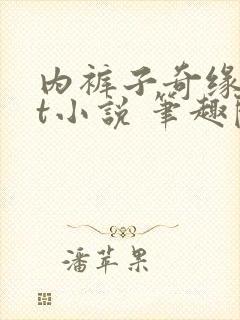 内裤子奇缘txt小说 笔趣阁