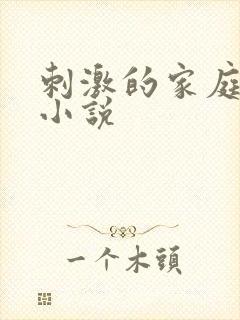 刺激的家庭乱仑小说