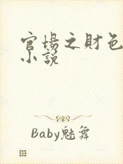 官场之财色诱人小说