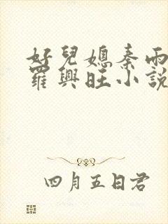 好儿媳秦雨罗明罗兴旺小说