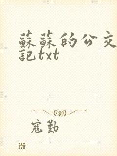 苏苏的公交车日记txt