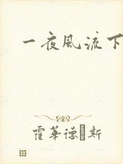 一夜风流下载