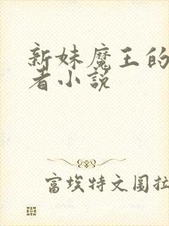 新妹魔王的契约者小说