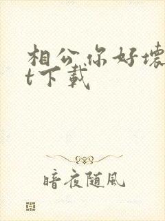 相公你好坏txt下载