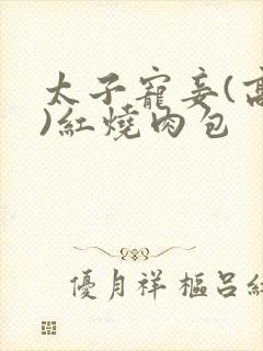 太子宠妾(高肉)红烧肉包