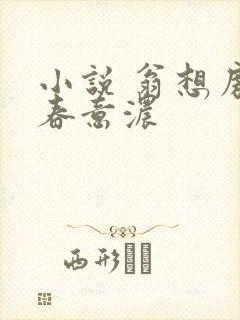 小说 翁想房中春意浓