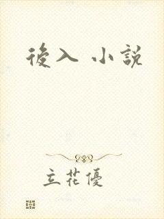 后入 小说