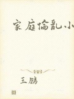 家庭伦乱小说