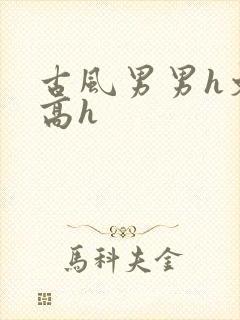 古风男男h文肉高h