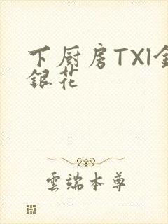 下厨房TXl金银花