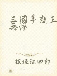 三国梦想王元姬无惨
