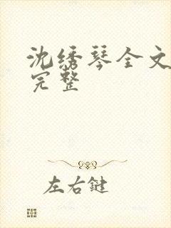 沈绣琴全文阅读完整