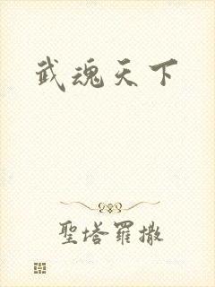 武魂天下
