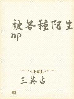 被各种陌生人 np