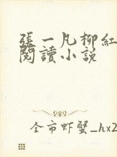 张一凡柳红免费阅读小说