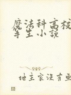 魔法科高校的劣等生小说