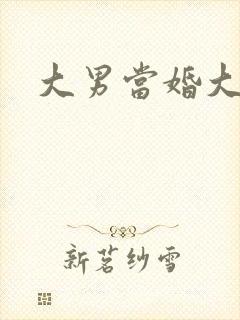大男当婚大结局