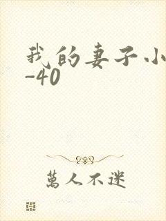 我的妻子小谨1-40