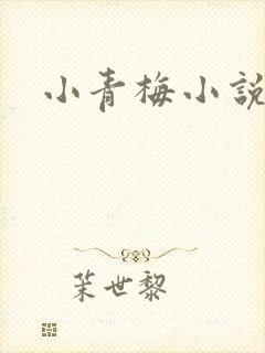 小青梅小说
