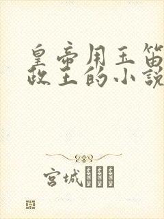 皇帝用玉笛整摄政王的小说