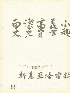 白洁高义小说全文免费笔趣阁阅读高