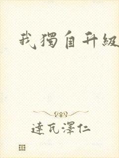 我独自升级小说