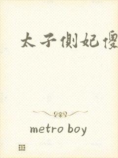 太子侧妃傻乎乎