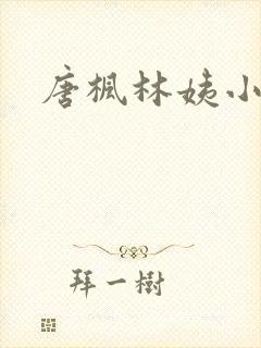 唐枫林姨小说