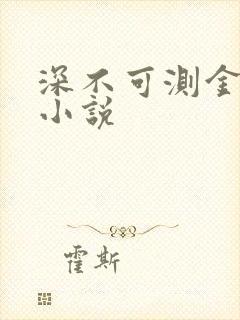 深不可测金银花小说