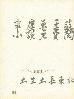 宁尘单柔苏千雪小说免费阅读最新