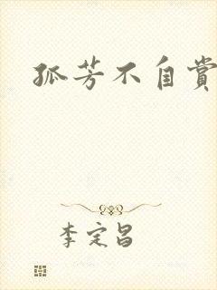 孤芳不自赏小说