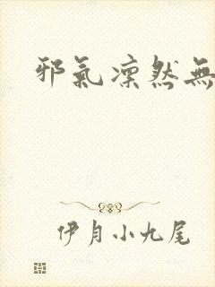 邪气凛然无弹窗