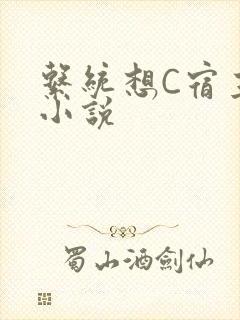 系统想C宿主的小说