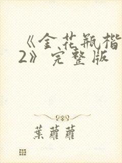 《金花瓶楷梅花2》完整版