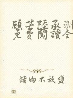 顾芒陆承洲小说免费阅读全文免费阅读下载