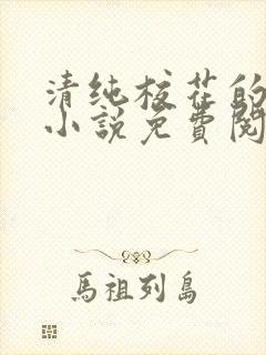 清纯校花的秘密小说免费阅读