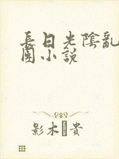 长日光阴乱作一团小说