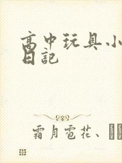 高中玩具小诗的日记