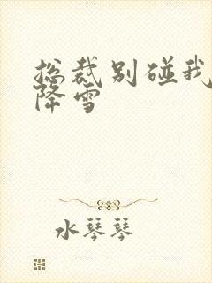 总裁别碰我 韩降雪