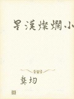 星汉灿烂小说